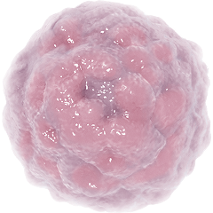 Learn About 3L+ DLBCL | COLUMVI® (glofitamab-gxbm)