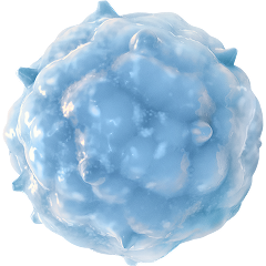 How COLUMVI® (glofitamab-gxbm) Is Designed To Work